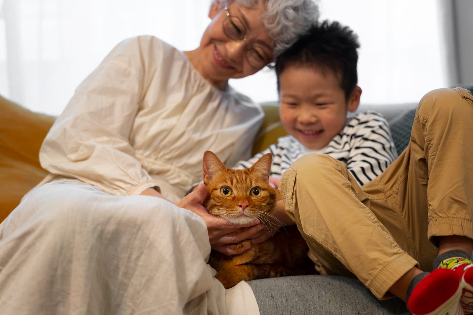 ソファで猫をなでる祖母と孫